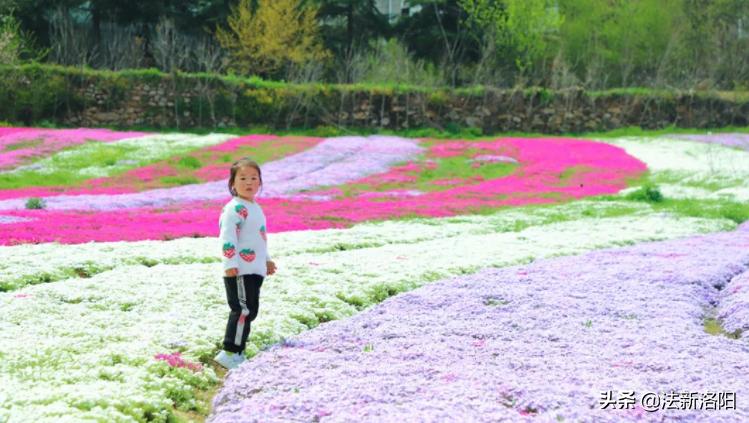 欒川今日最新天氣，欒川今日天氣預(yù)報更新，最新天氣狀況解析