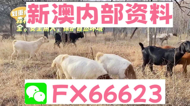 新澳2024今晚開(kāi)獎(jiǎng)資料四不像開(kāi)獎(jiǎng)規(guī)則詳解