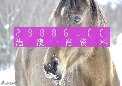 澳門一肖一碼100%準(zhǔn)確_,實地評估說明_MP20.841