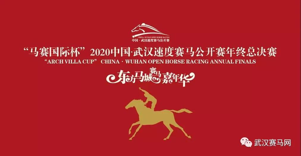 香港2024澳門特馬今晚開獎(jiǎng)：賽馬界的明日之星