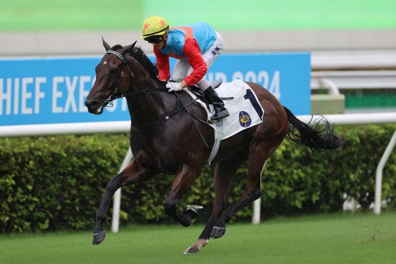 香港馬資料快速更新，助您輕松掌握賽馬動態(tài)