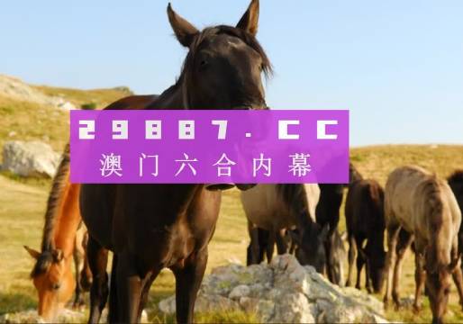 澳門管家婆一肖一碼2024年市場(chǎng)趨勢(shì)預(yù)測(cè)