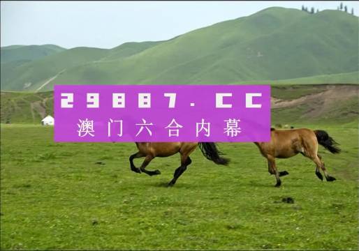 龍門客棧澳門天天彩：精準(zhǔn)分析，期期不落空